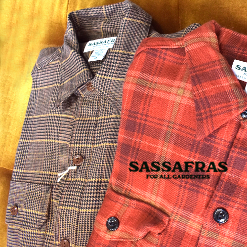 SASSAFRAS