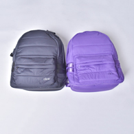 F/CE W.R PADDING DAY PACK